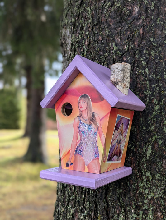 Taylor Swift Birdhouse