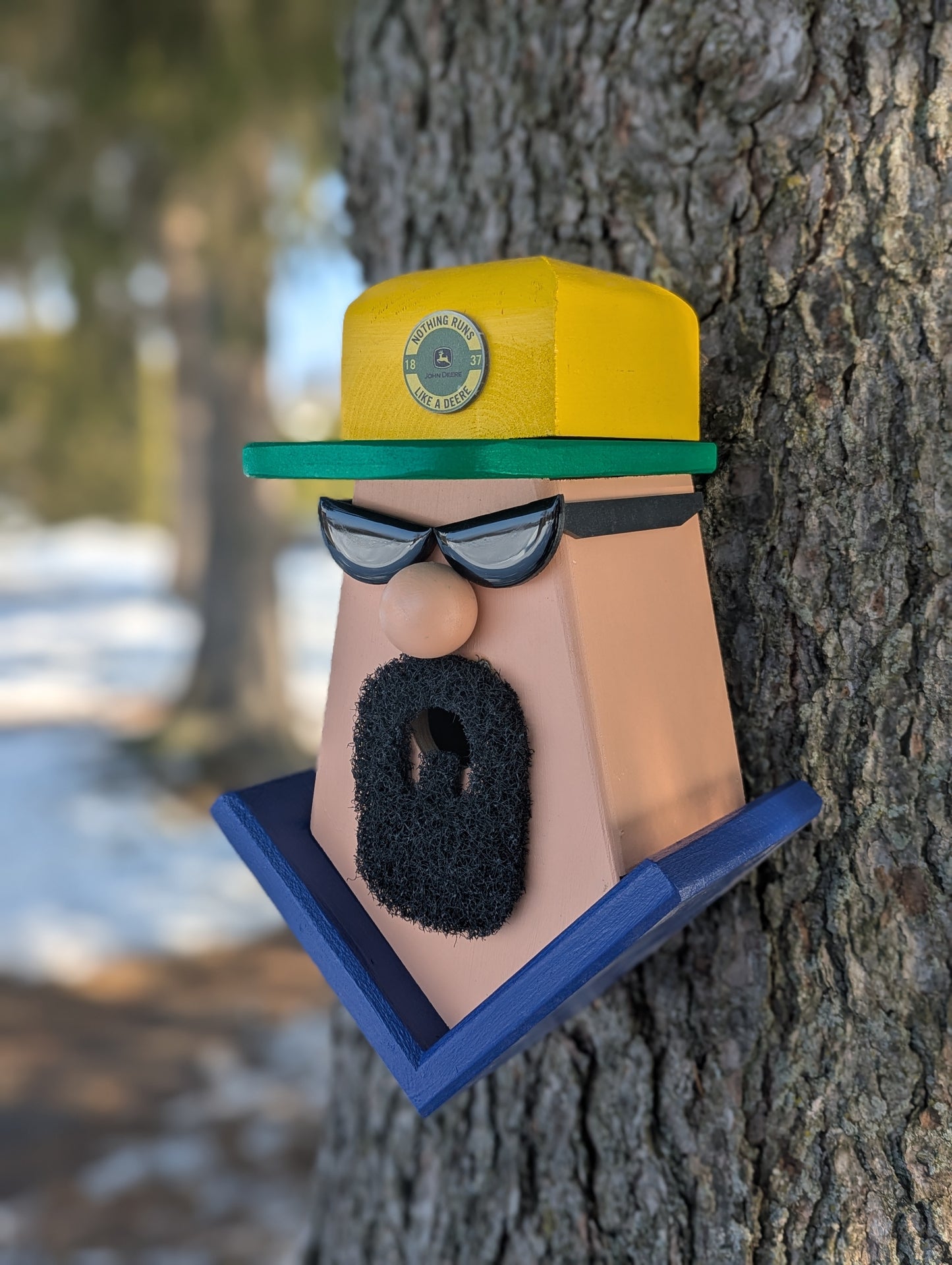 Guy with goatee and  sun glasses Birdhouse