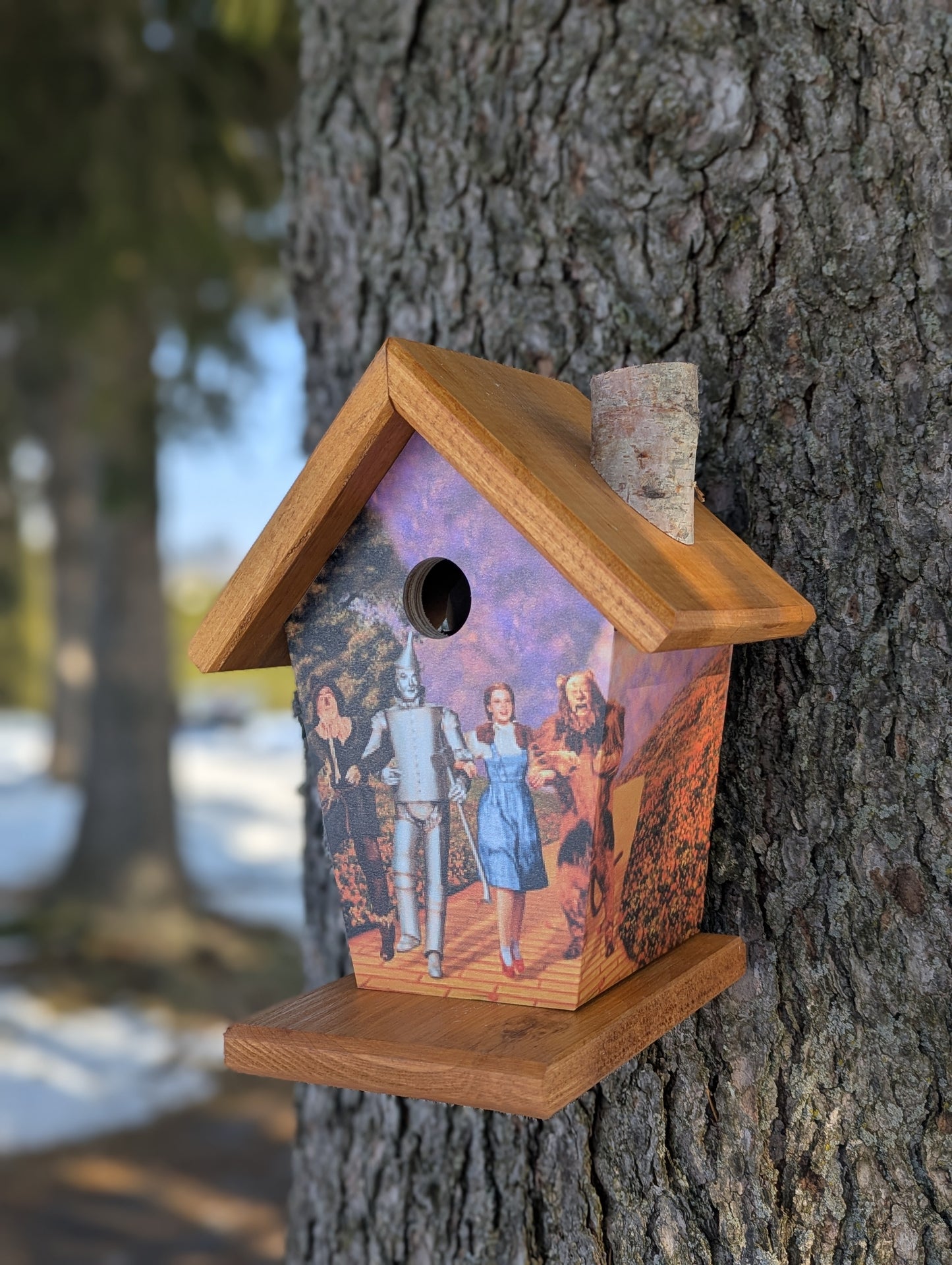 Wizard of Oz Birdhouse