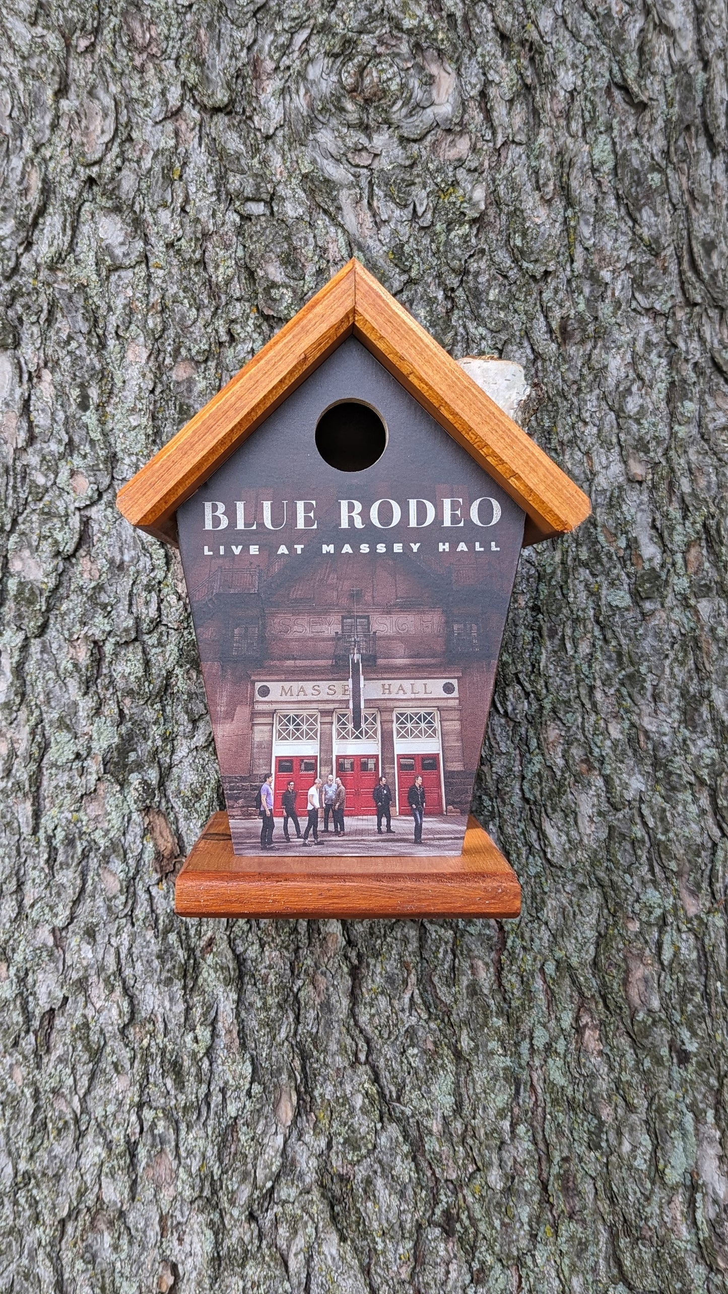 Blue Rodeo Massey Hall Birdhouse