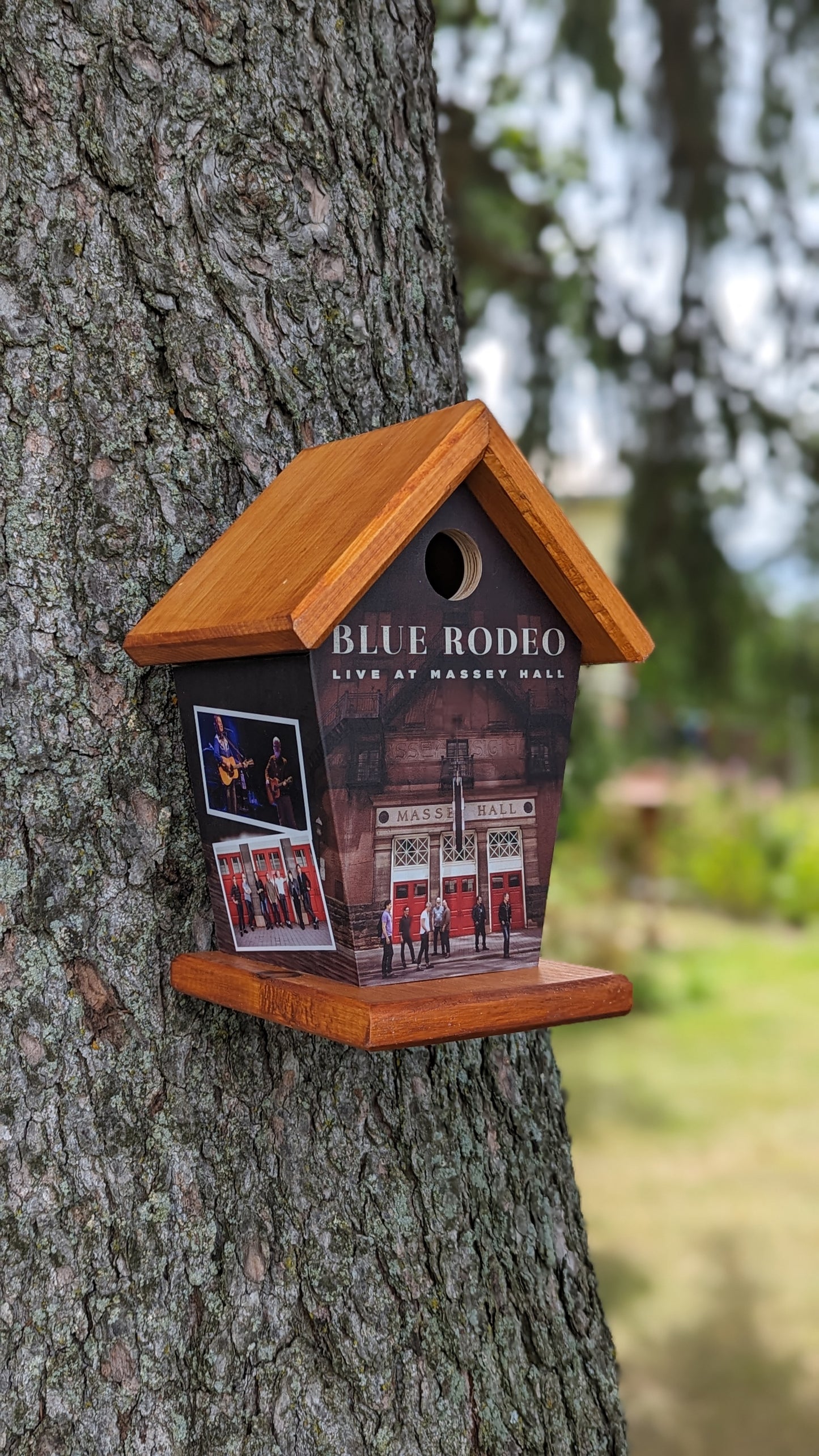 Blue Rodeo Massey Hall Birdhouse