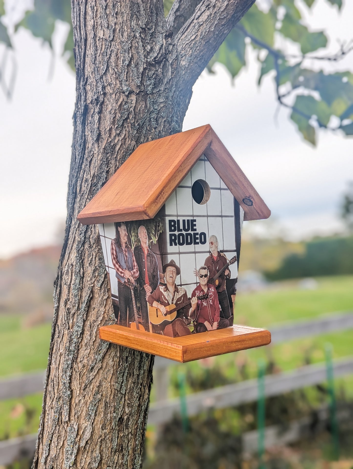 Blue Rodeo Birdhouse