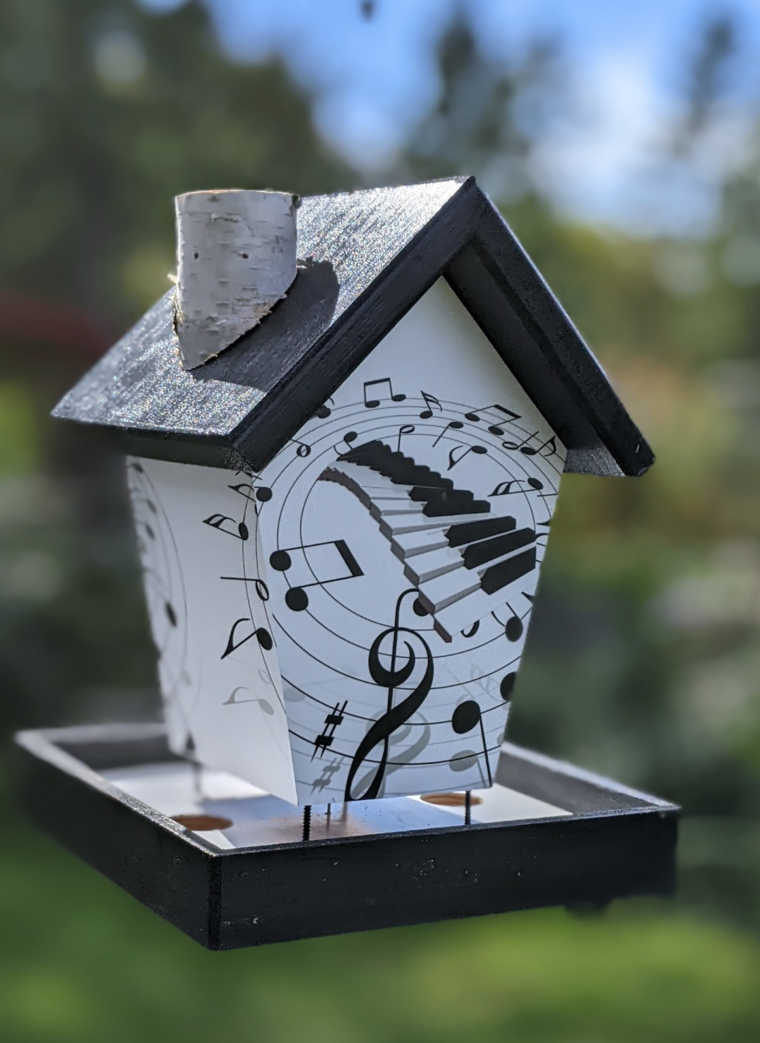 Music Lovers Bird Feeder
