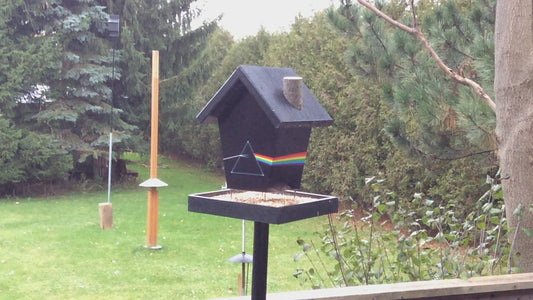 Pink Floyd Dark side of the moon Bird Feeder