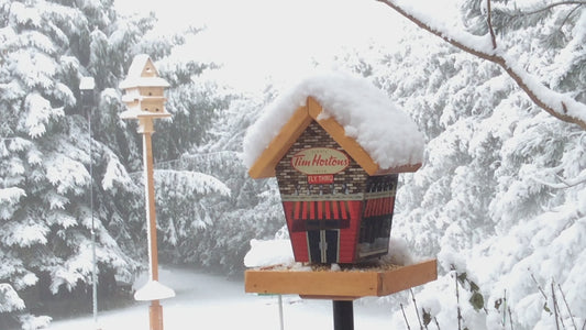 Coffee Lovers Stained Roof & Base Bird Feeder