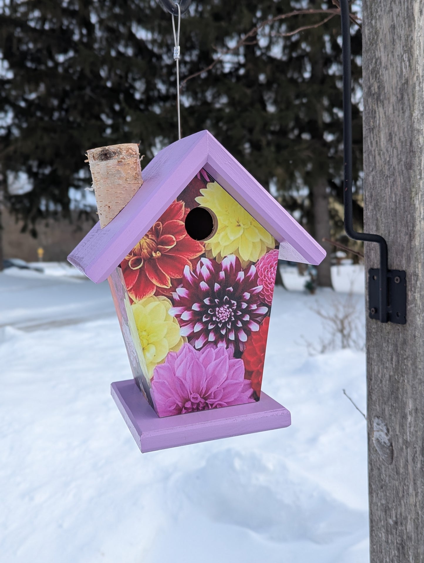 Dahlia birdhouse image on four-sides
