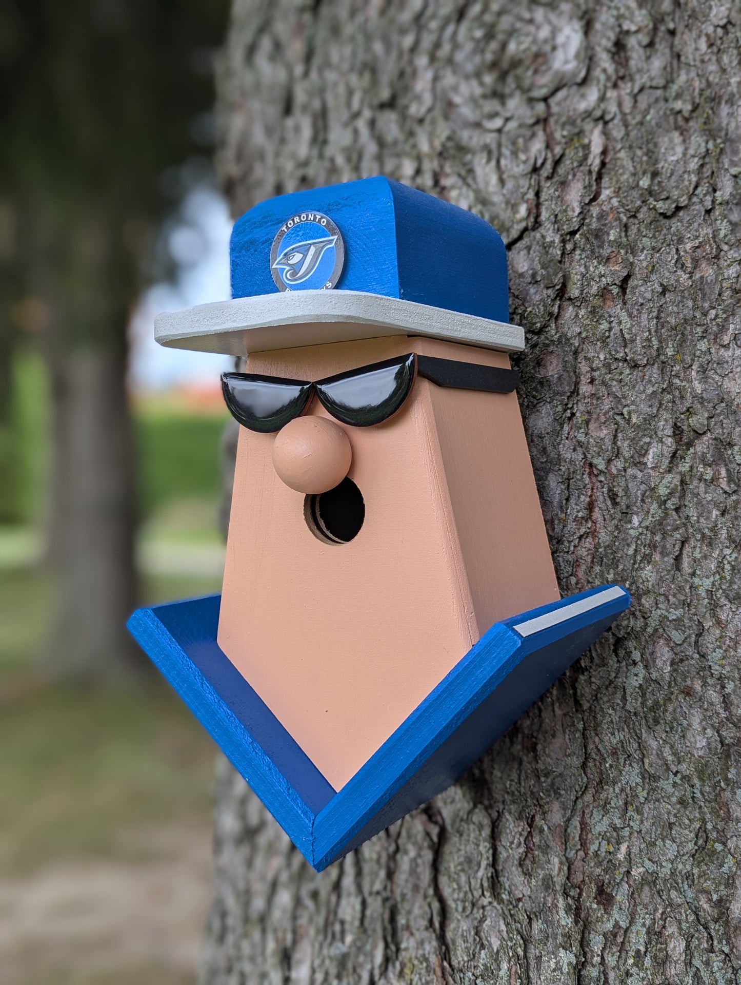 Blue Jays fan birdhouse