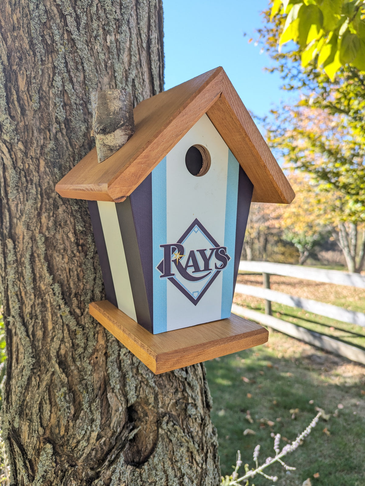 Tampa Bay Rays Birdhouse