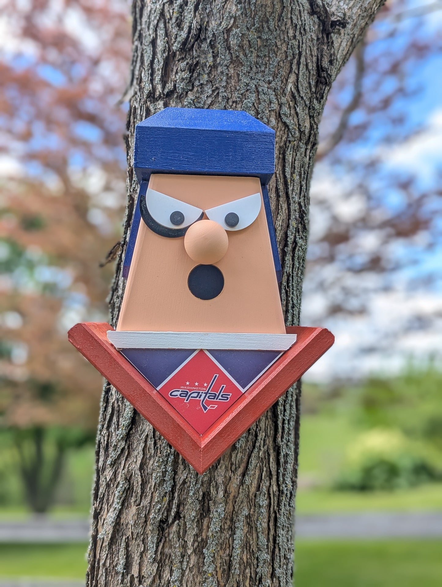 Washington Capitals birdhouse