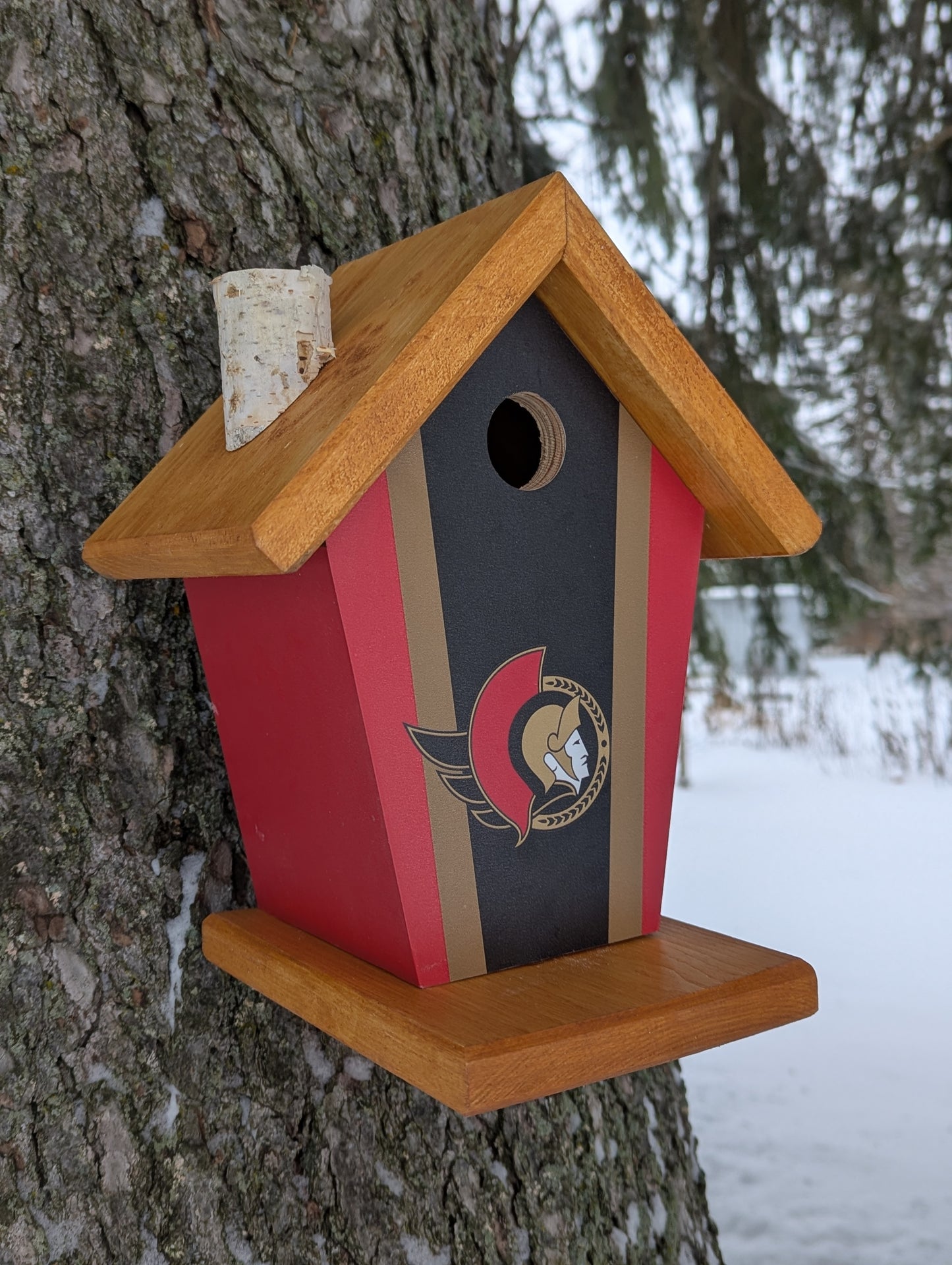 Ottawa Senators Birdhouse