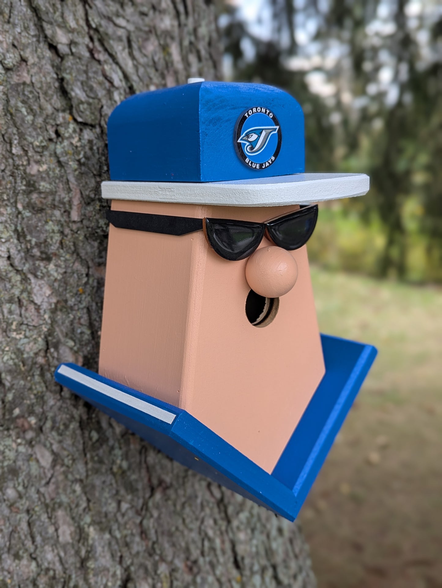 Blue Jays fan birdhouse