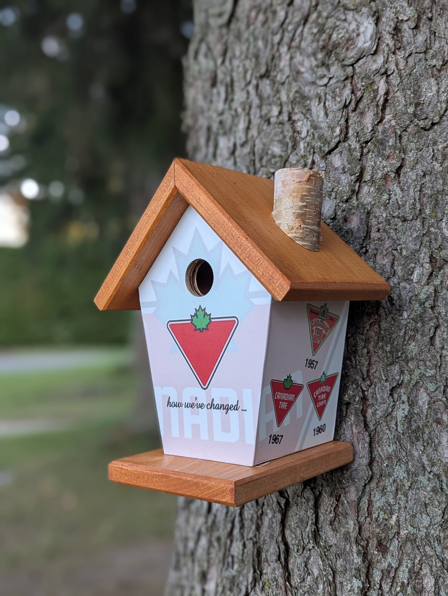 Canadian Tire over the years birdhouse