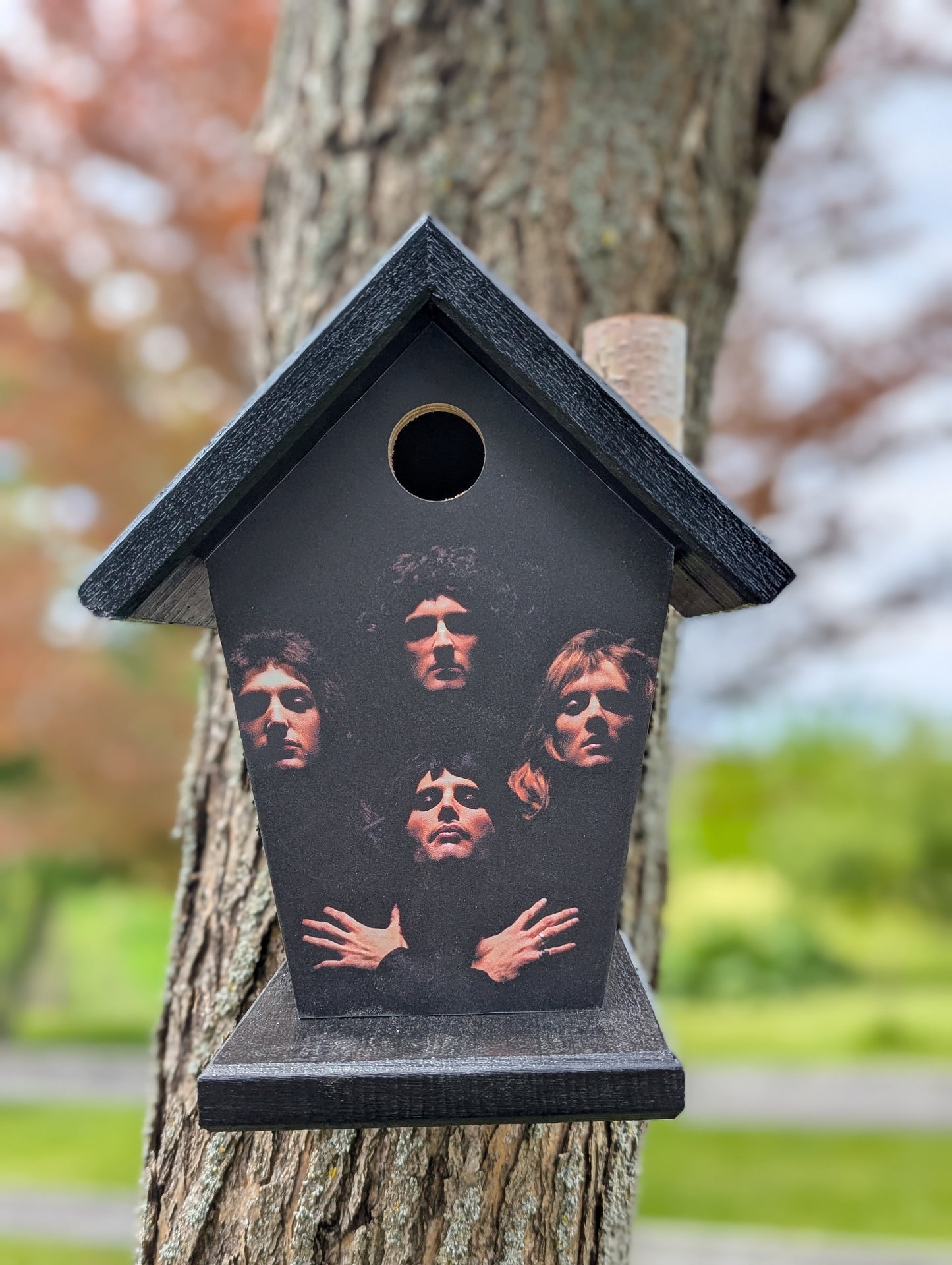 Queen Bohemian Rhapsody Birdhouse Music