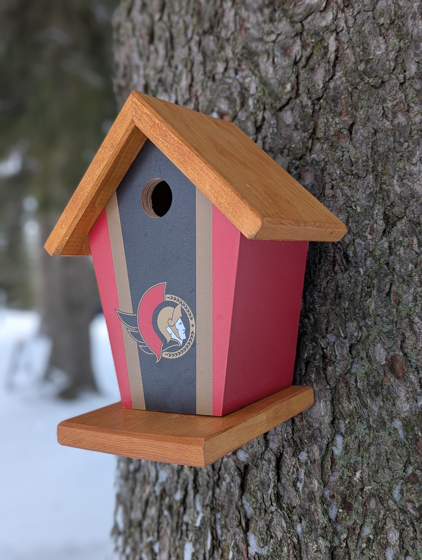 Ottawa Senators Birdhouse