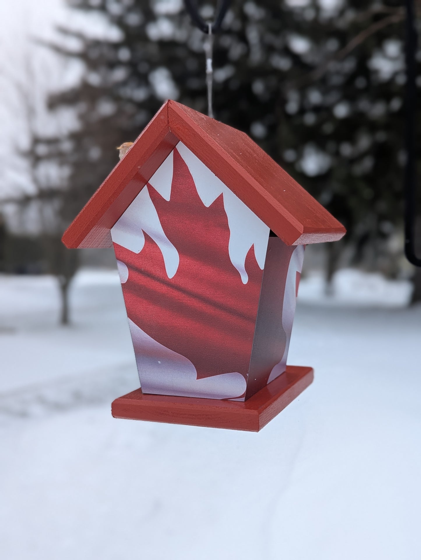 Canadian wave flag four-sided birdhouse