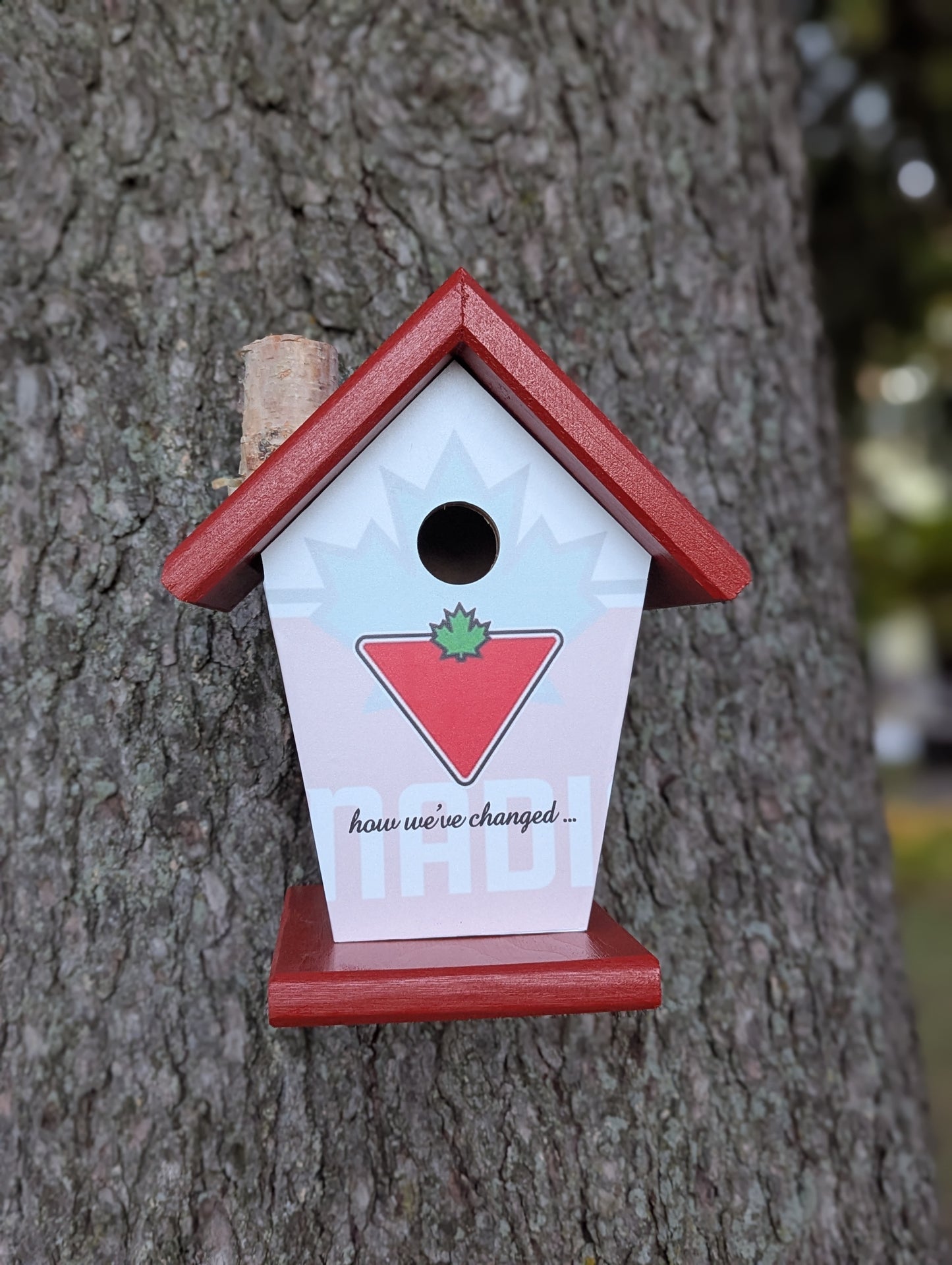 Canadian Tire over the years birdhouse