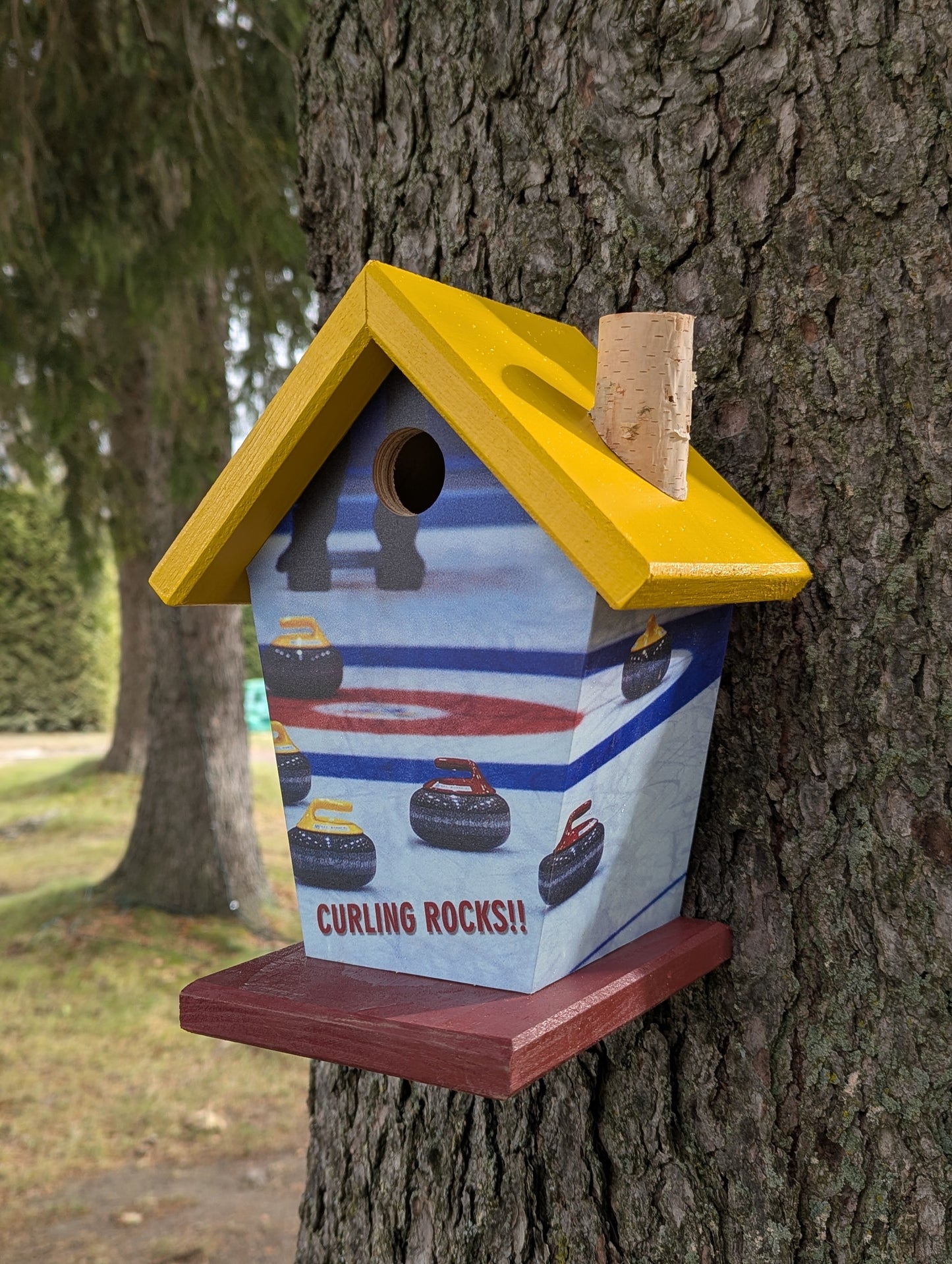 Curling Birdhouse