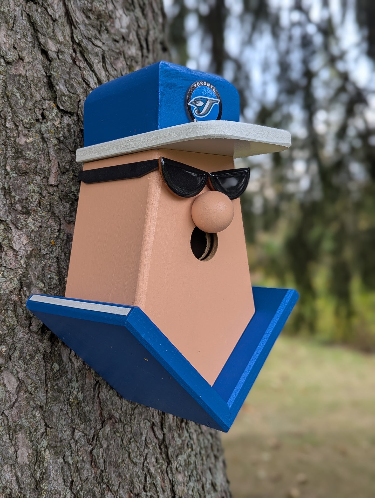 Blue Jays fan birdhouse