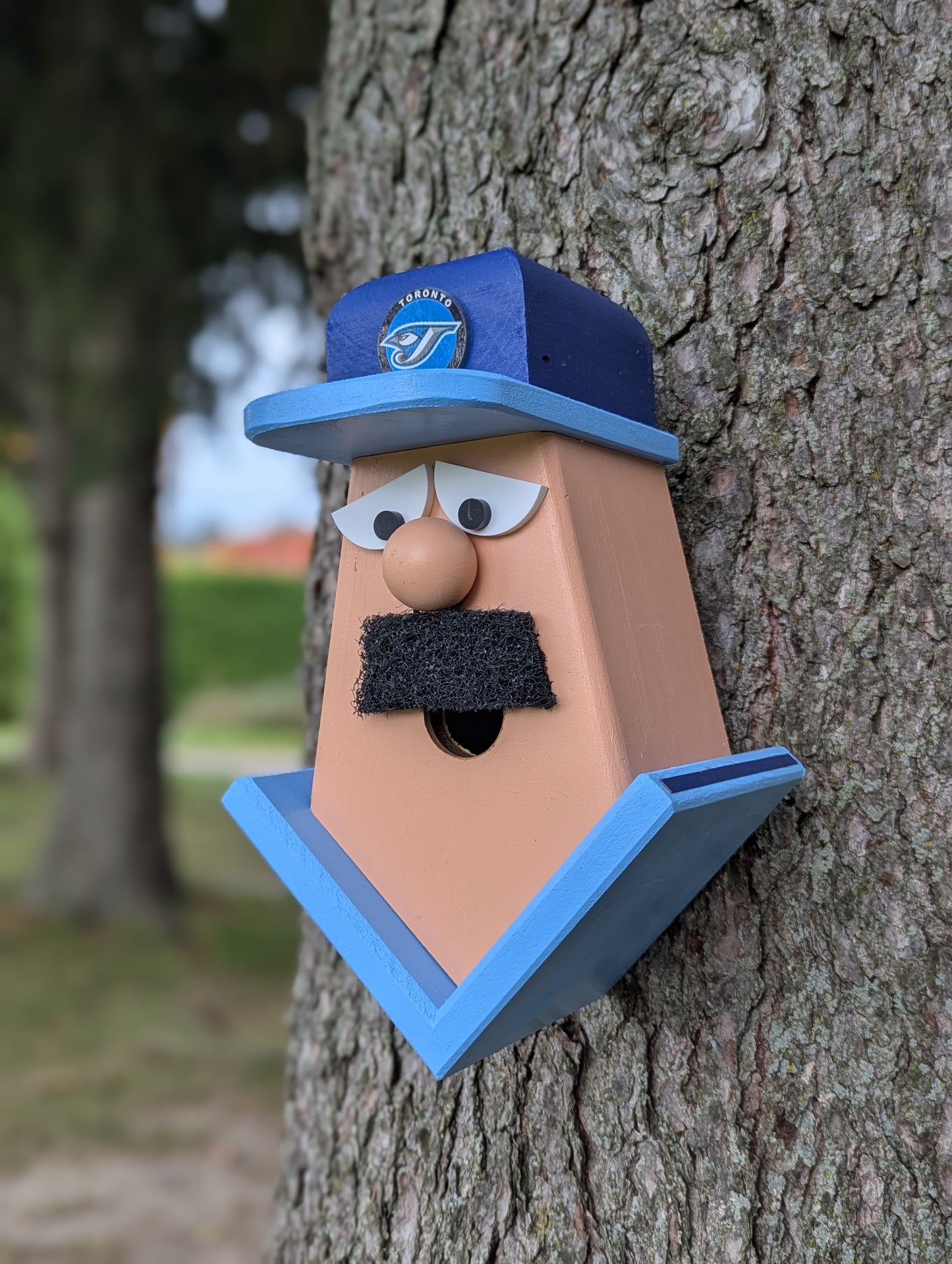 Blue Jays player birdhouse