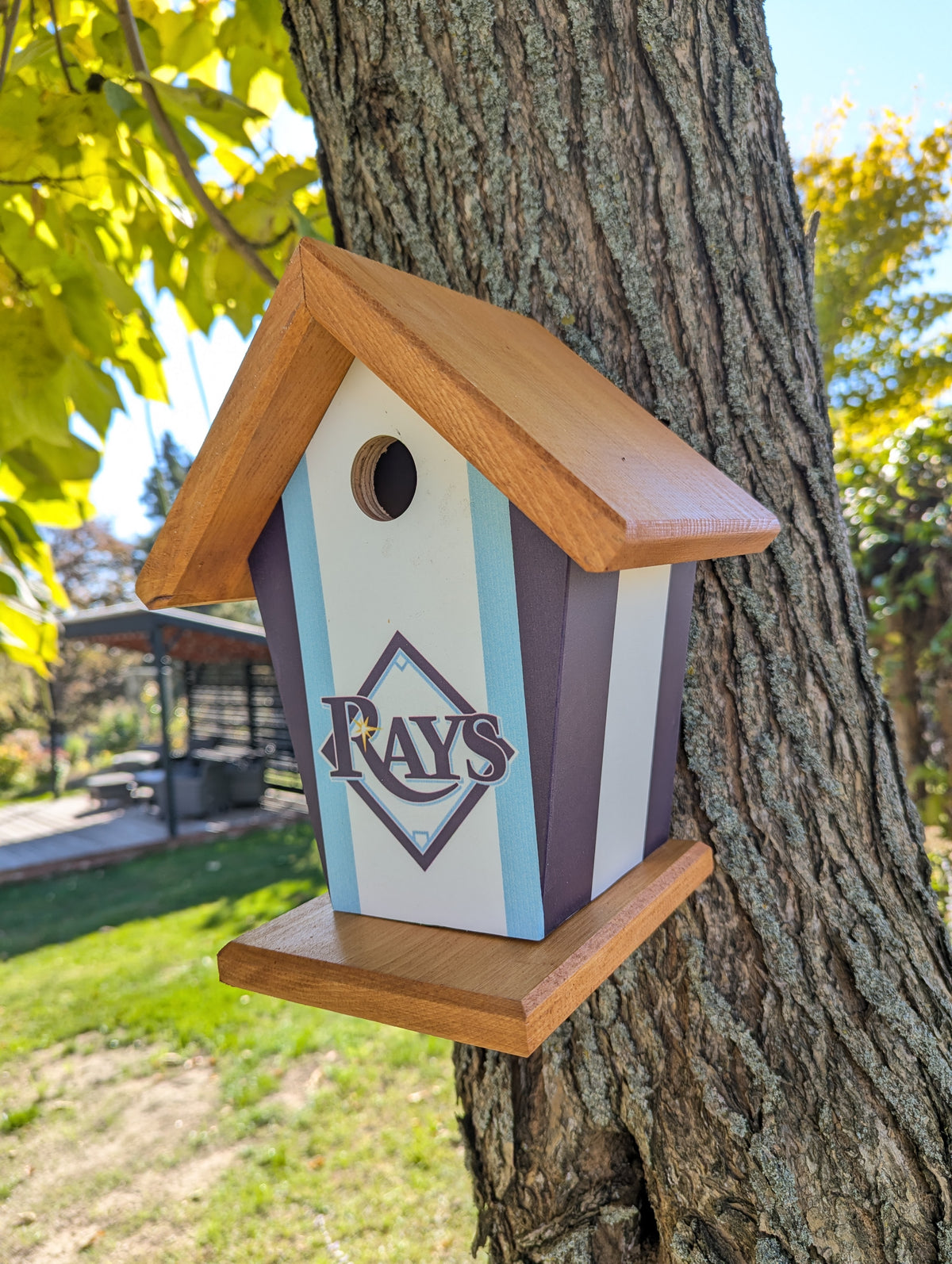 Tampa Bay Rays Birdhouse