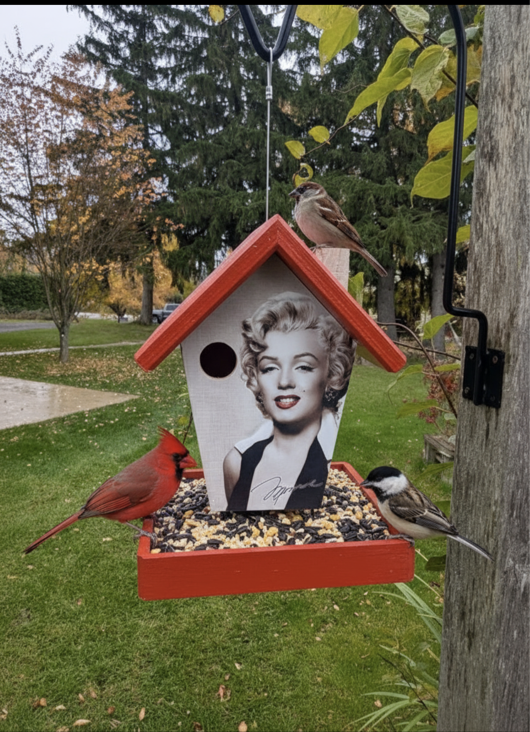 Marilyn Monroe Bird Feeder, Red Roof and Base.