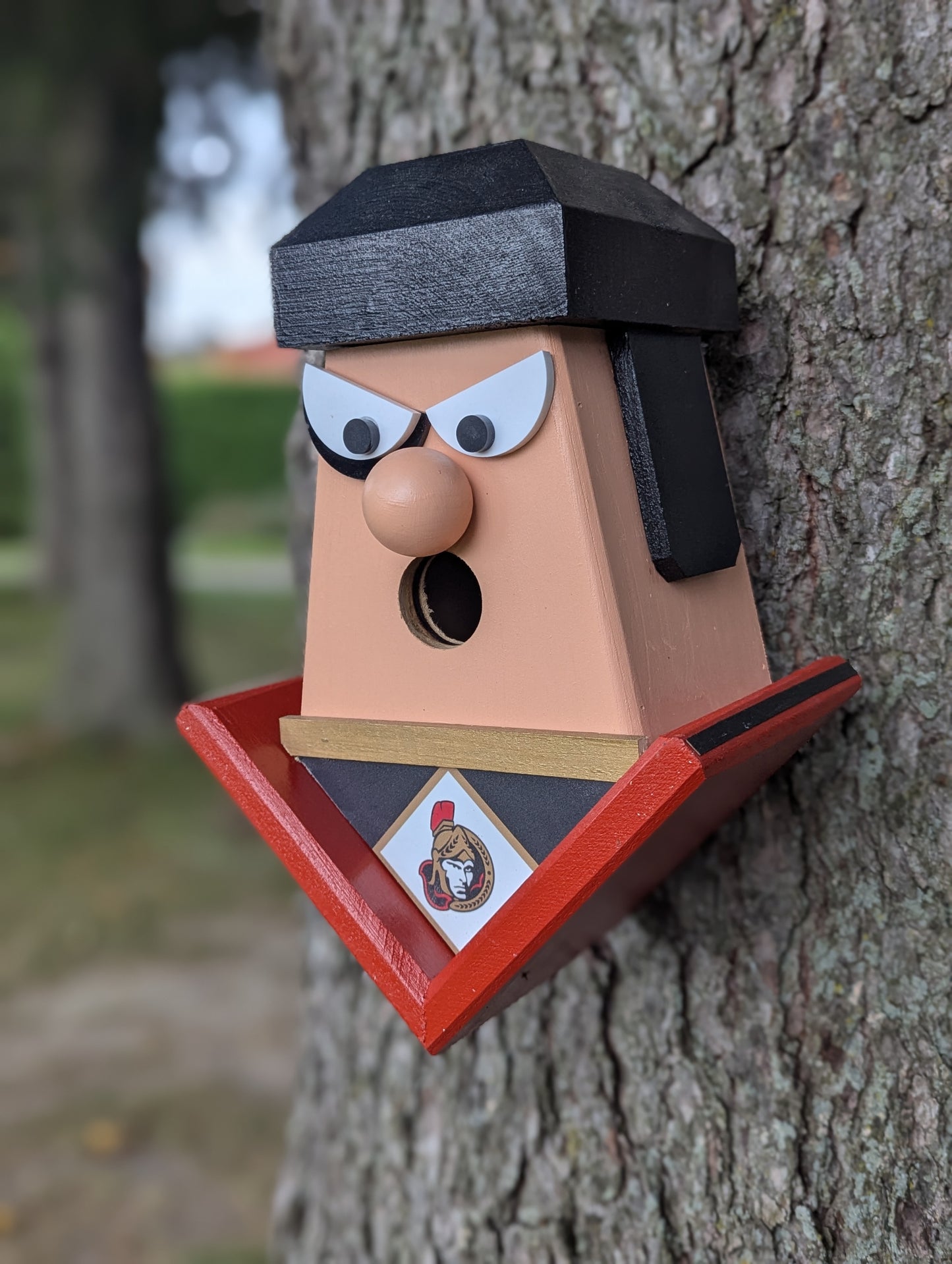 Ottawa Senators hockey player birdhouse.