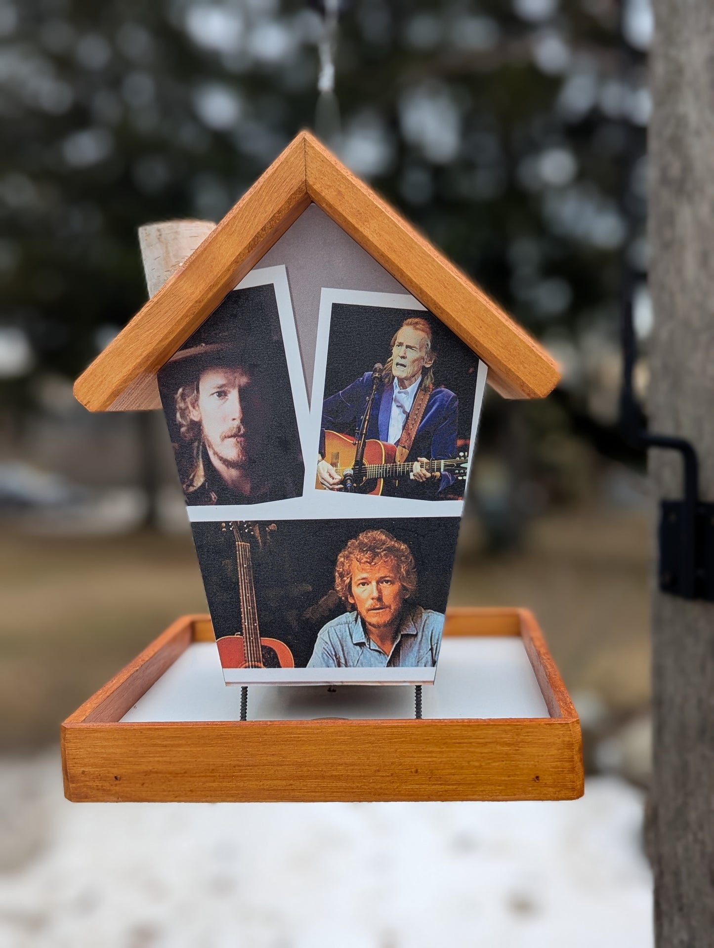 Gordon Lightfoot Bird Feeder Music