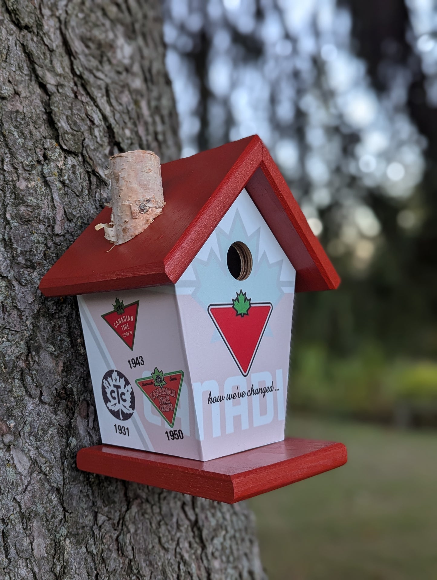 Canadian Tire over the years birdhouse