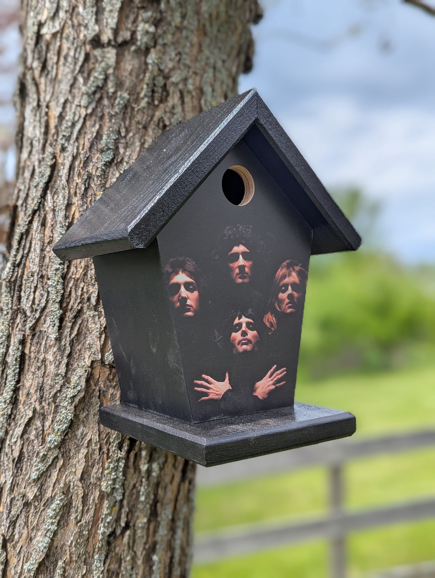 Queen Bohemian Rhapsody Birdhouse Music