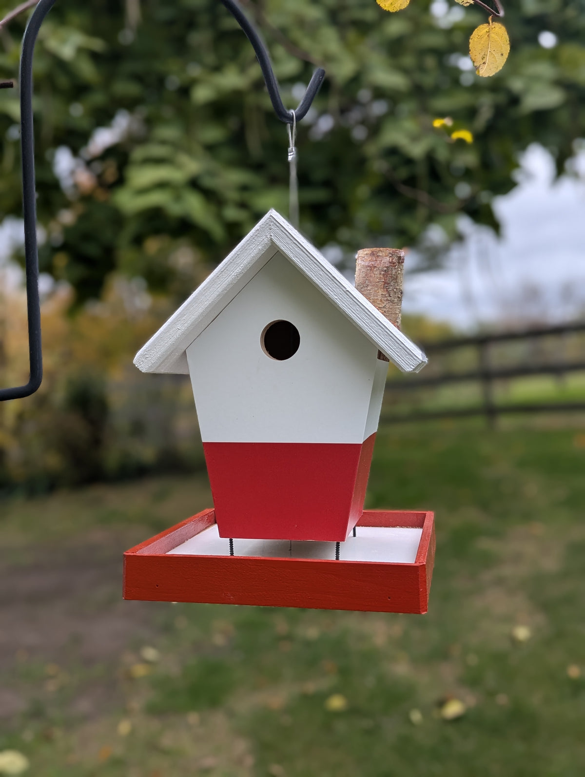 Polish flag bird feeder