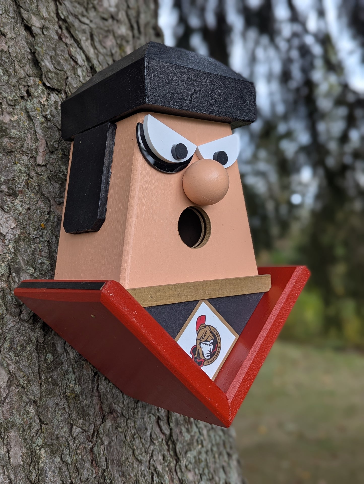 Ottawa Senators hockey player birdhouse.