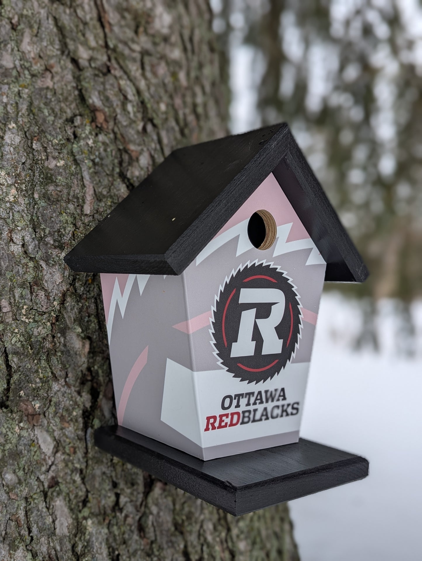 Ottawa Redblacks Birdhouse