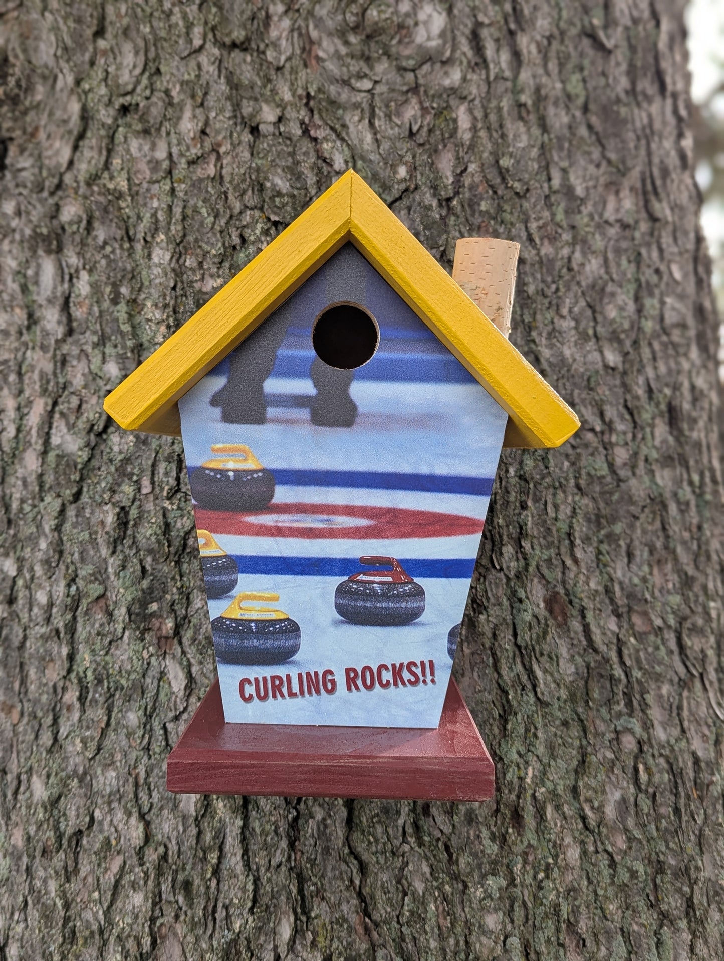 Curling Birdhouse