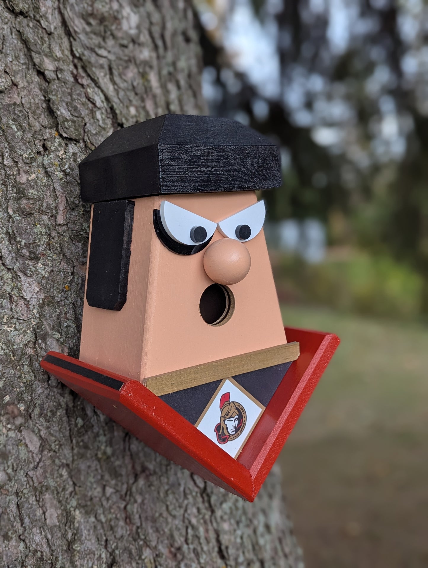 Ottawa Senators hockey player birdhouse.