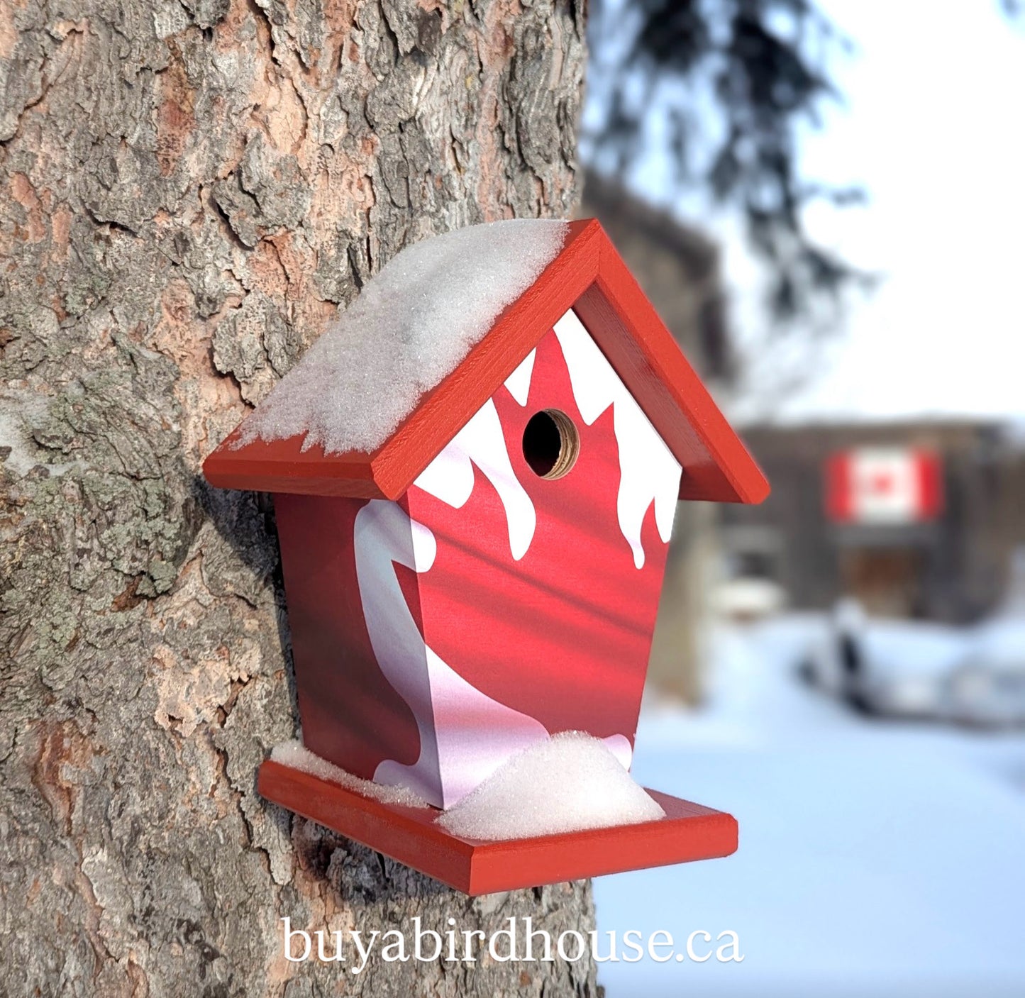 Canadian wave flag