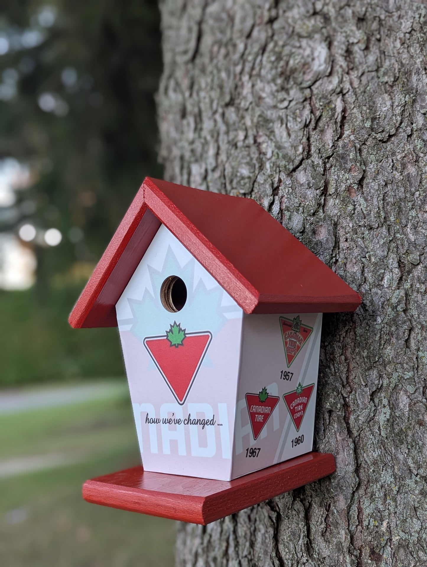 Canadian Tire over the years birdhouse