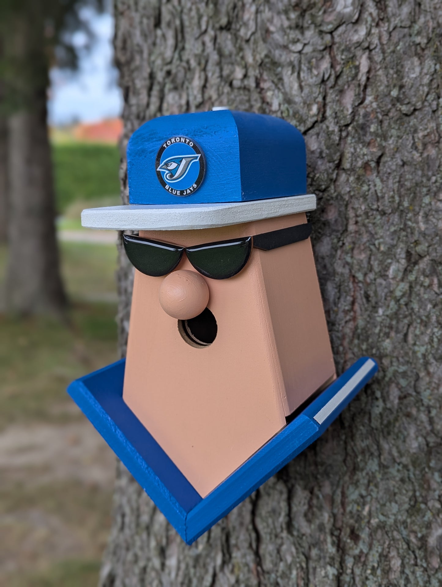 Blue Jays fan birdhouse