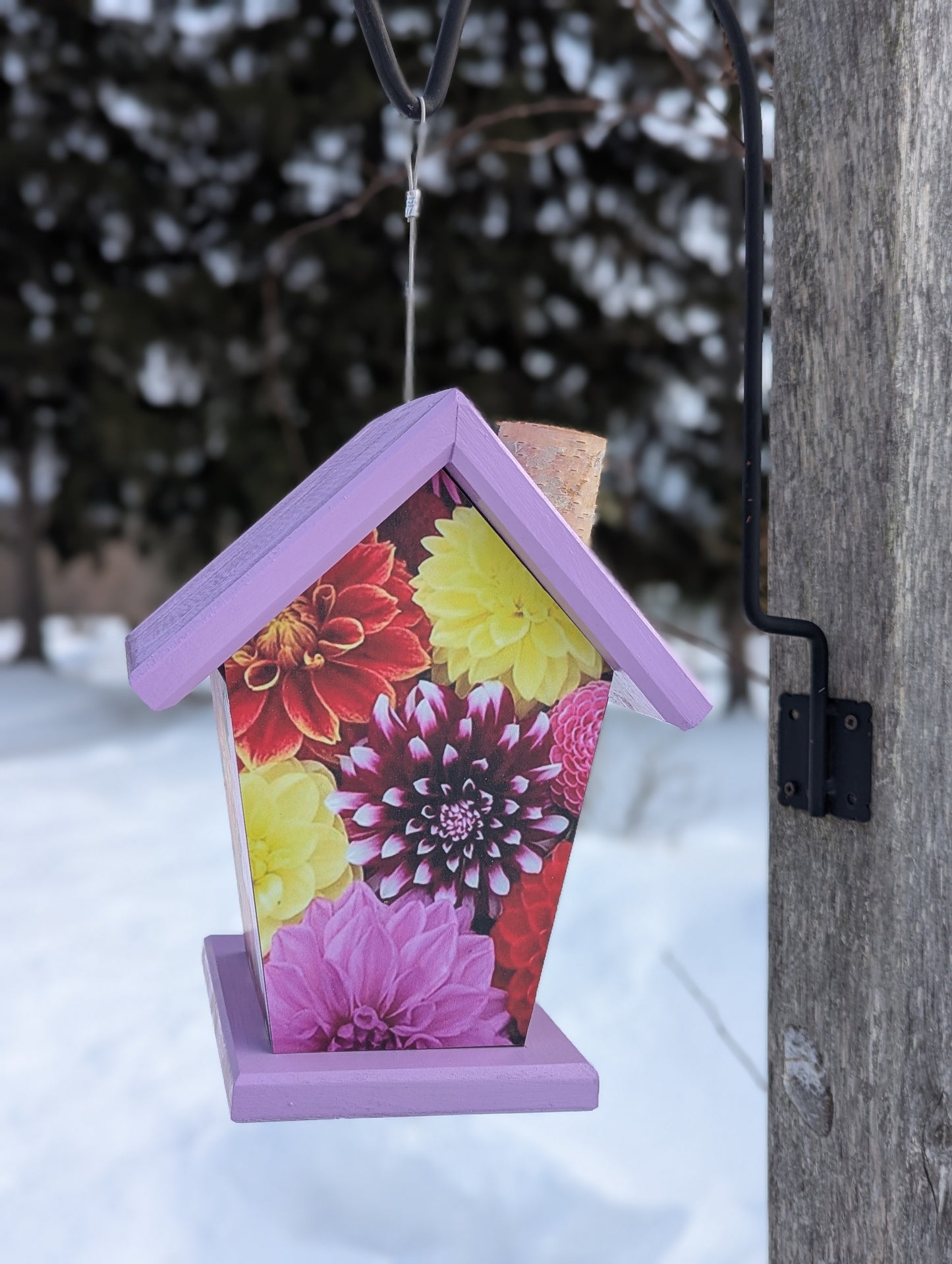 Dahlia birdhouse image on four-sides