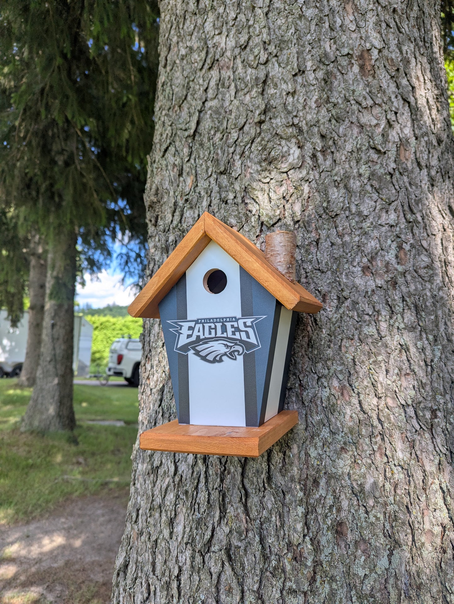 Philadelphia Eagles birdhouse