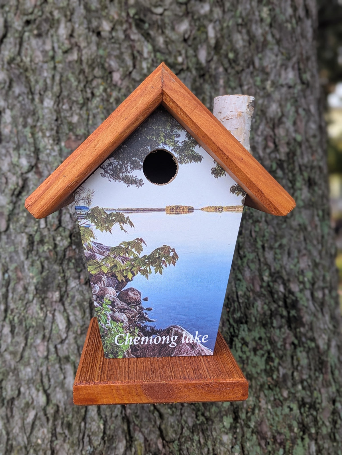 Chemong Lake Birdhouse