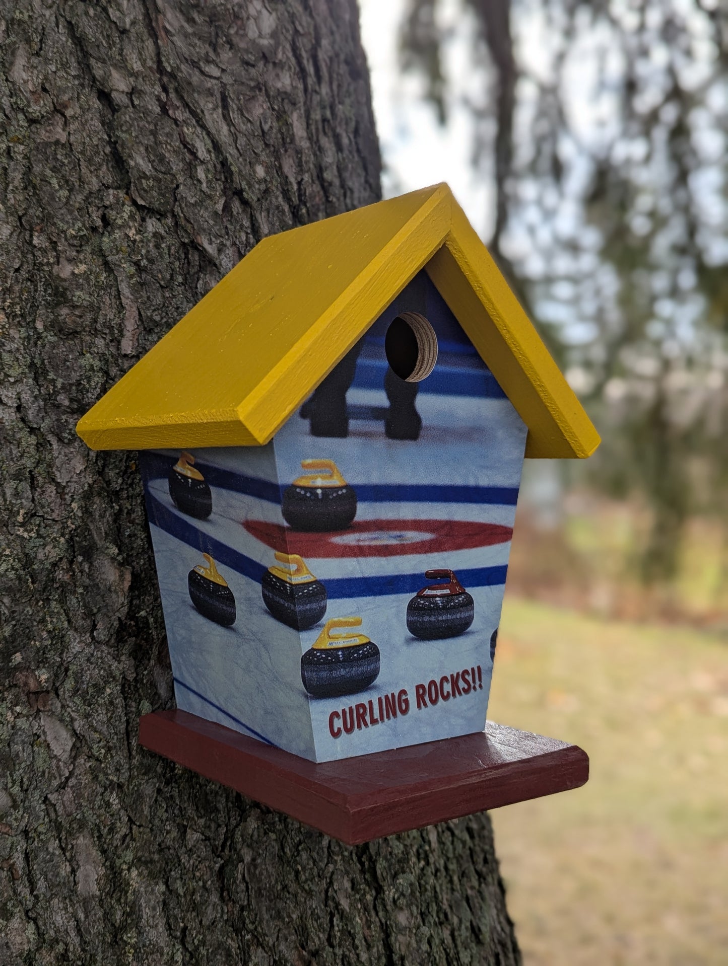 Curling Birdhouse