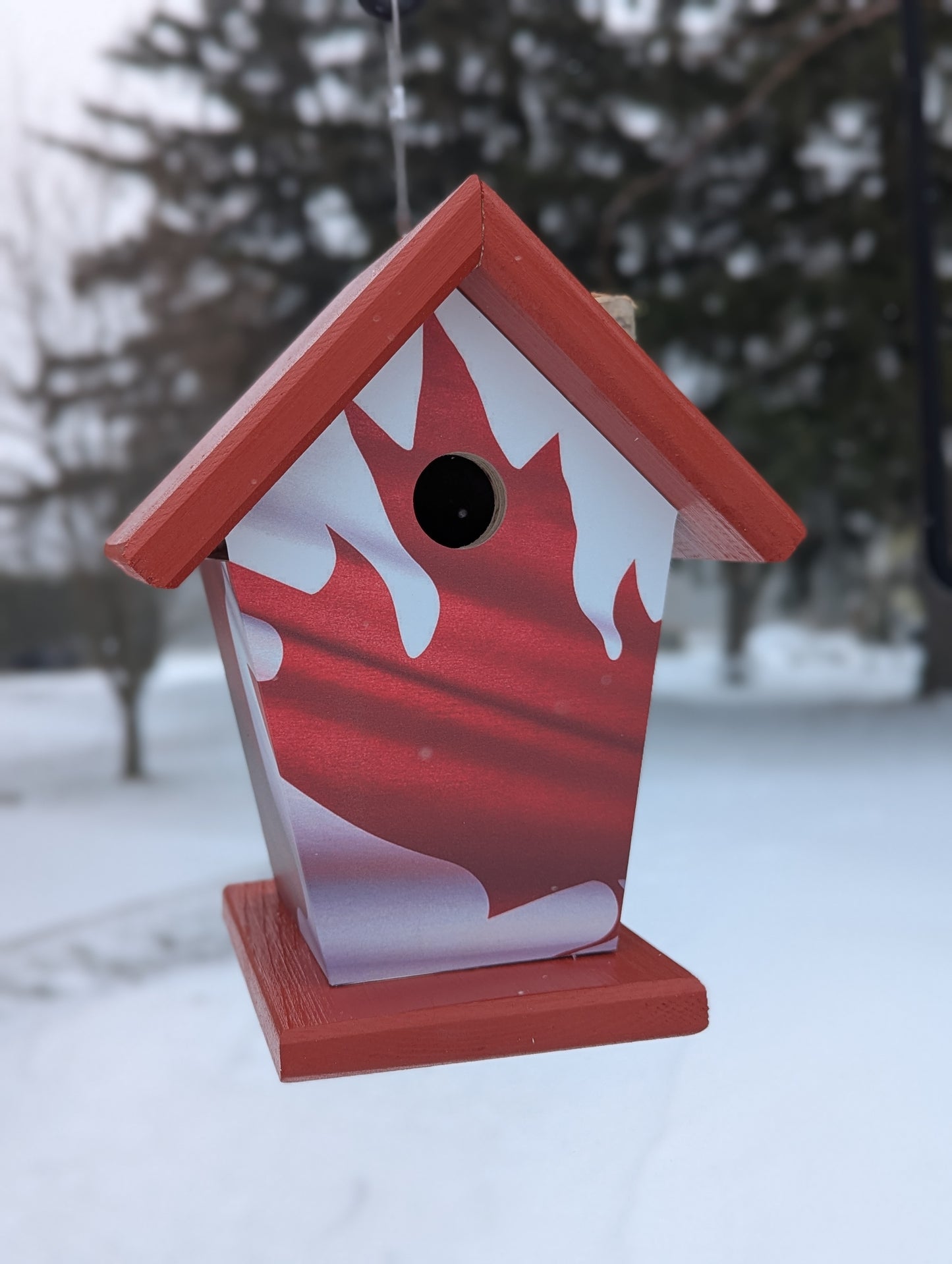 Canadian wave flag four-sided birdhouse