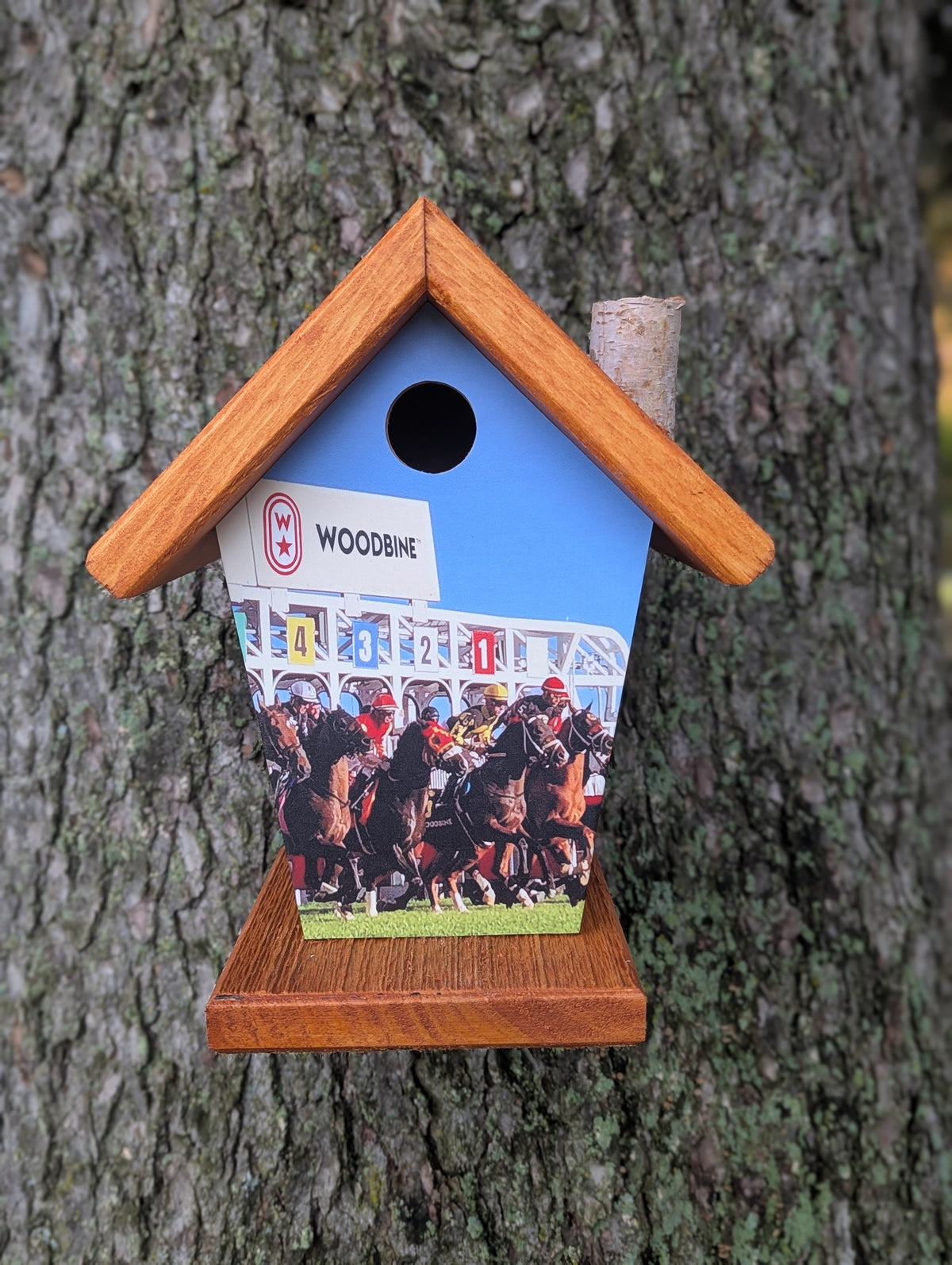 Horse racing theme Woodbine RaceTrack