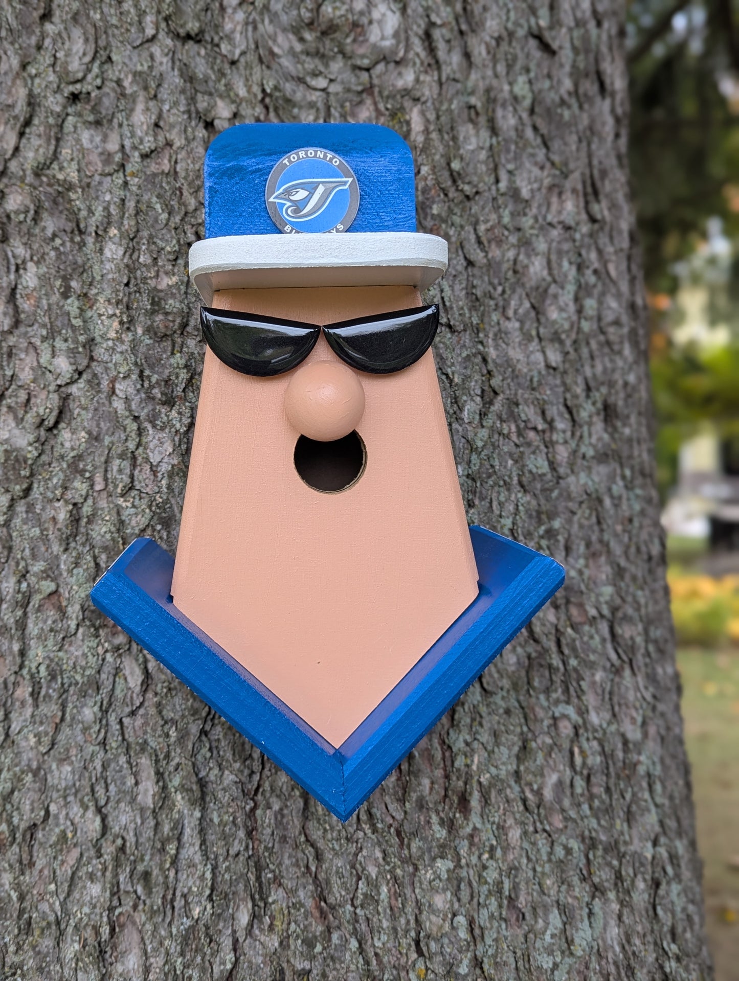 Blue Jays fan birdhouse