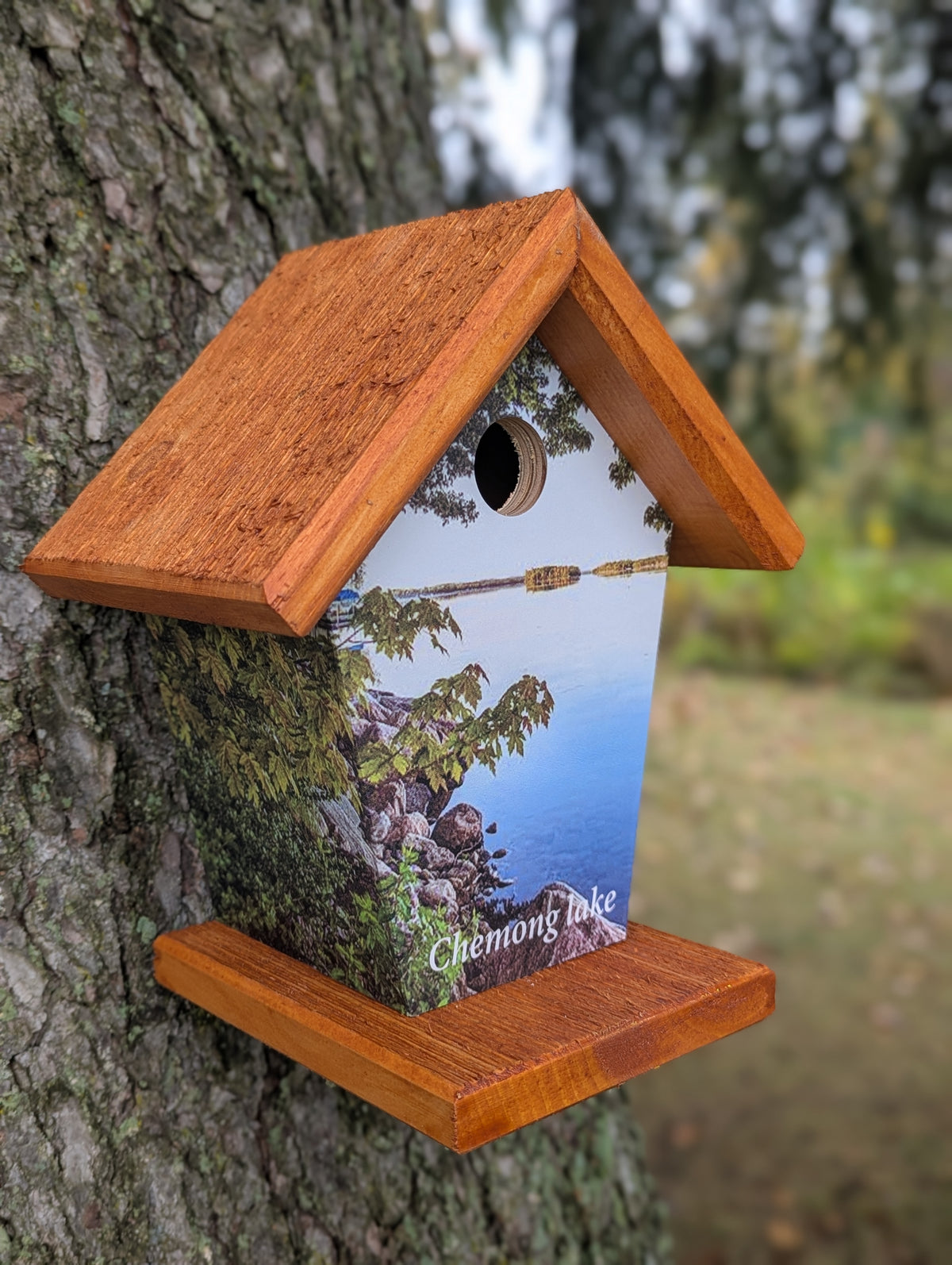 Chemong Lake Birdhouse