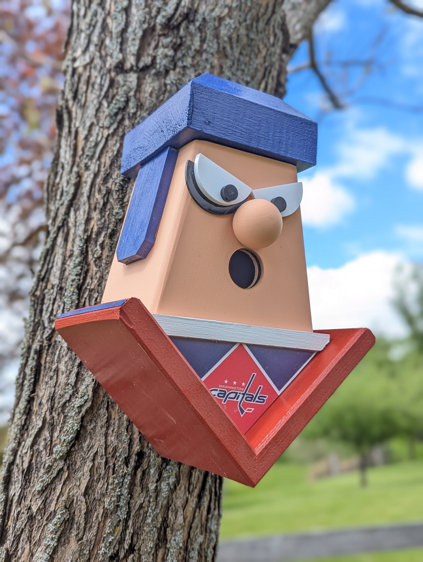 Washington Capitals birdhouse