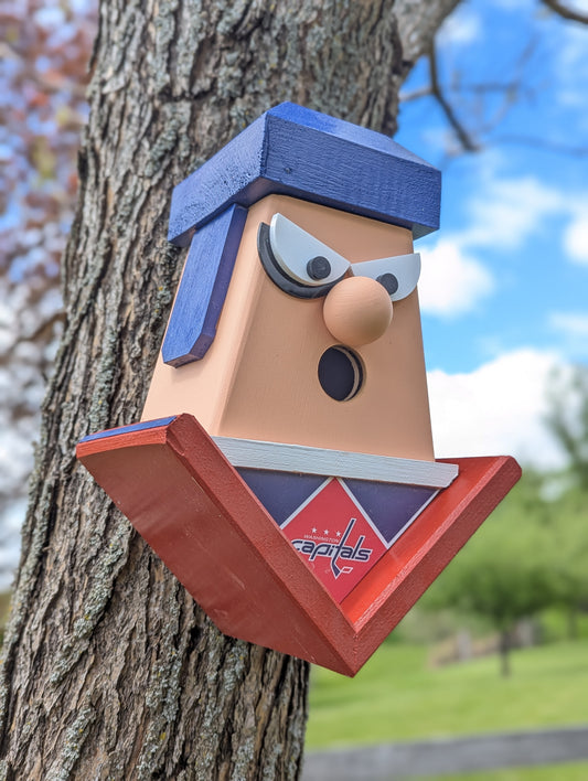 Washington Capitals birdhouse