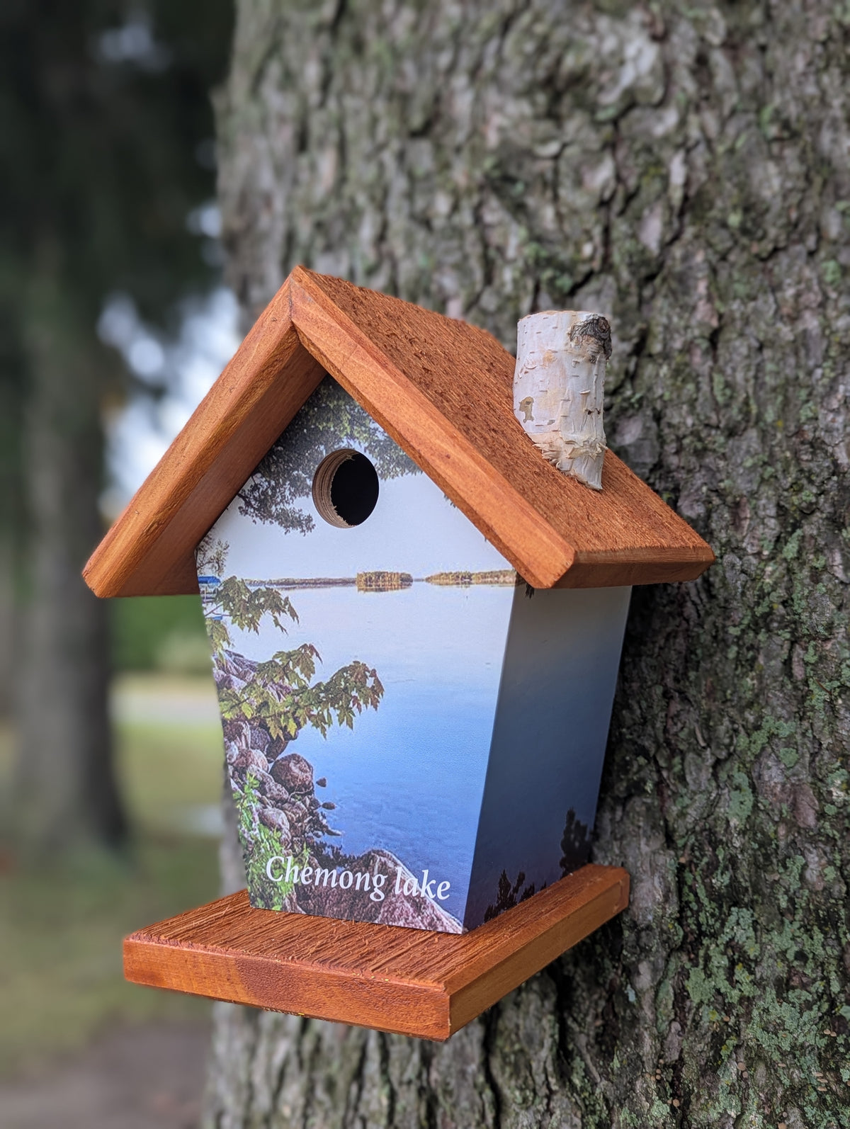 Chemong Lake Birdhouse