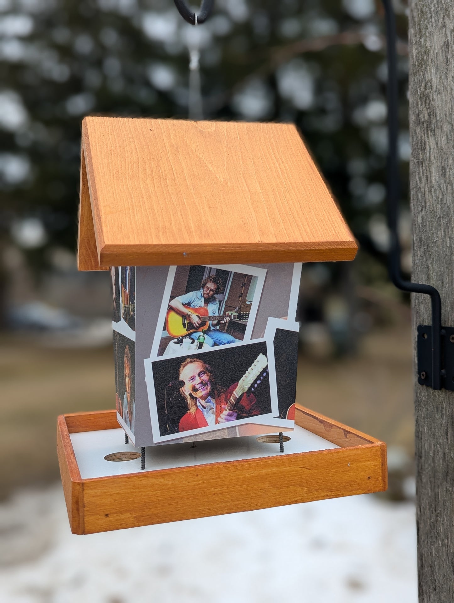 Gordon Lightfoot Bird Feeder Music