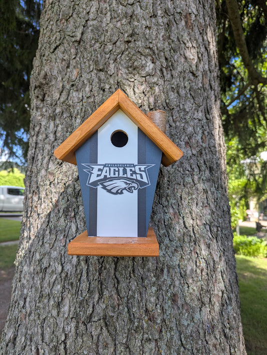 Philadelphia Eagles birdhouse